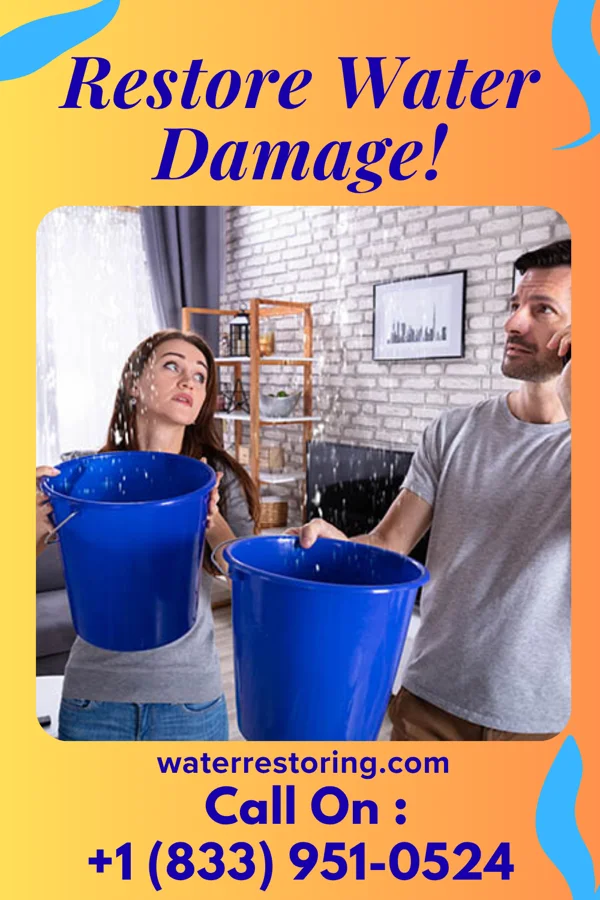 water restoration National Flood Damage & Associates Columbus