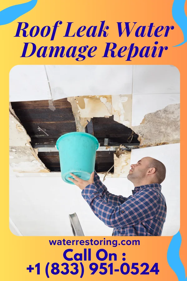 Roof Leak Water Damage Repair in Columbus, IN